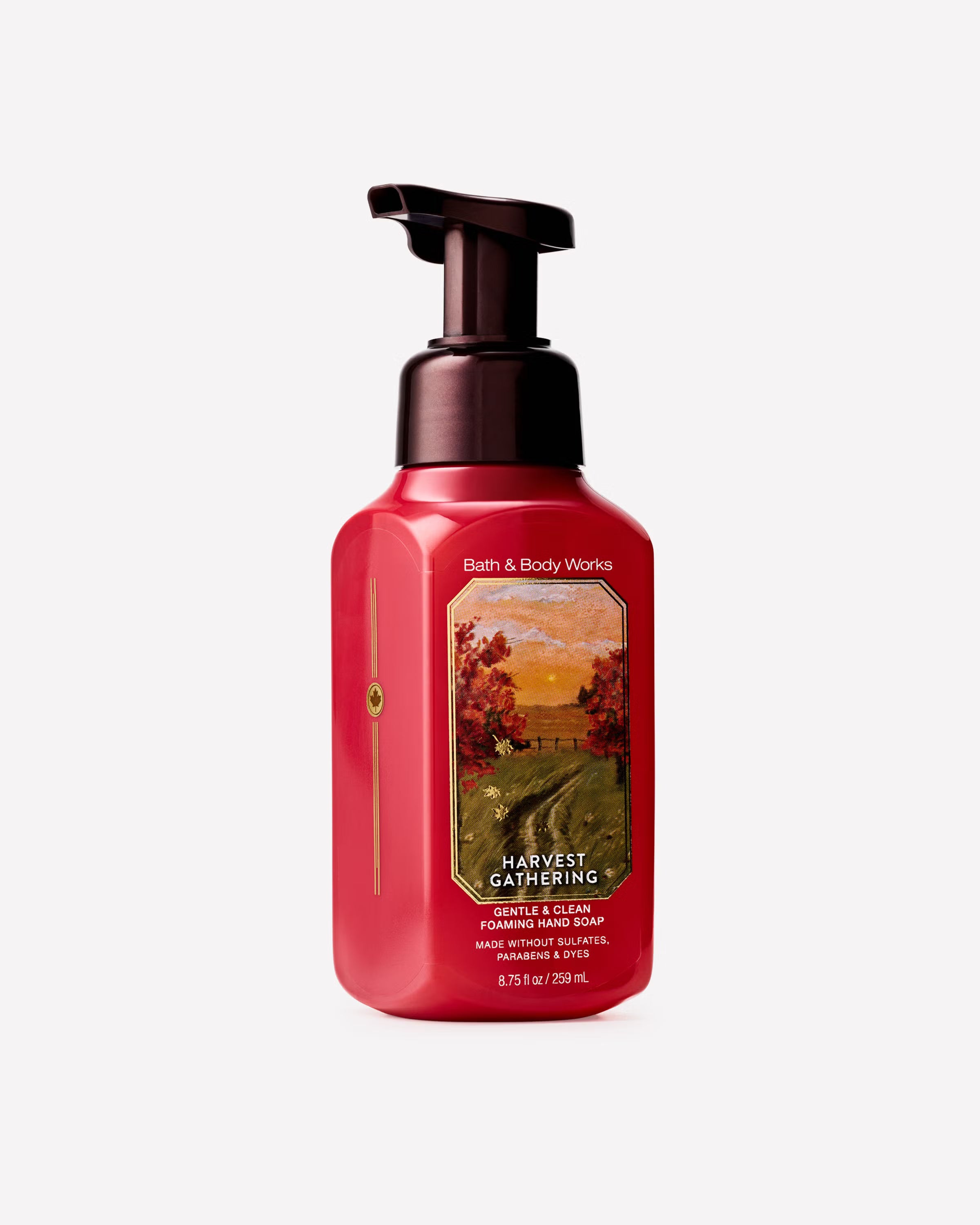 Harvest Gathering Foaming Hand Soap