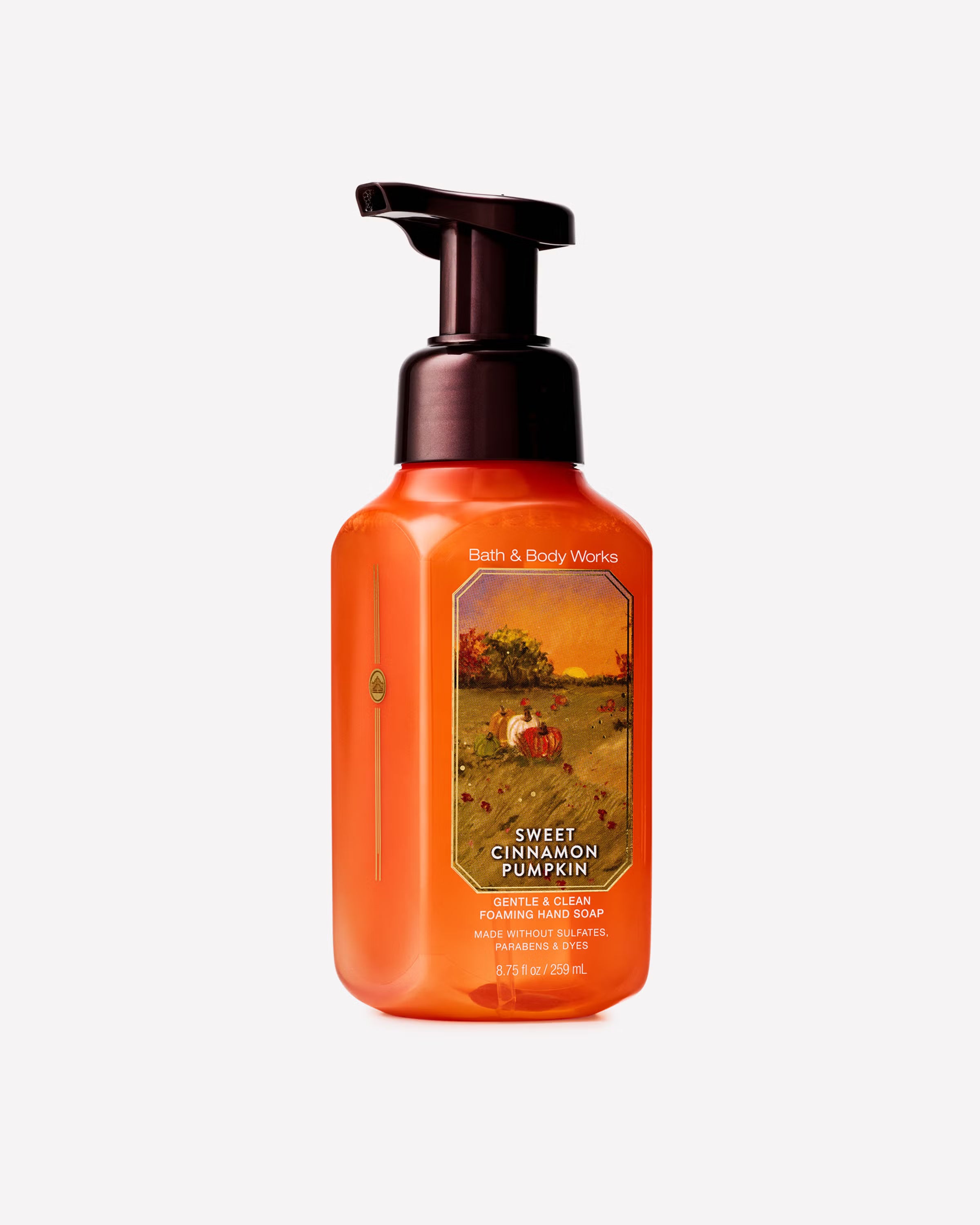 Sweet Cinnamon Pumpkin Foaming Hand Soap