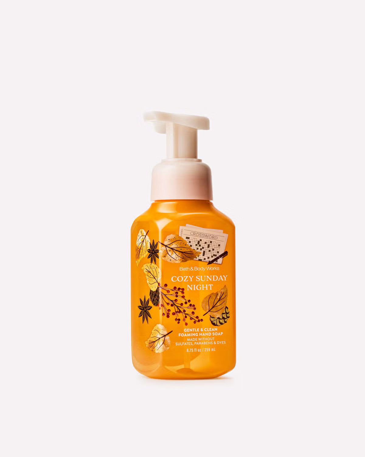 Cozy Sunday Night Foaming Hand Soap