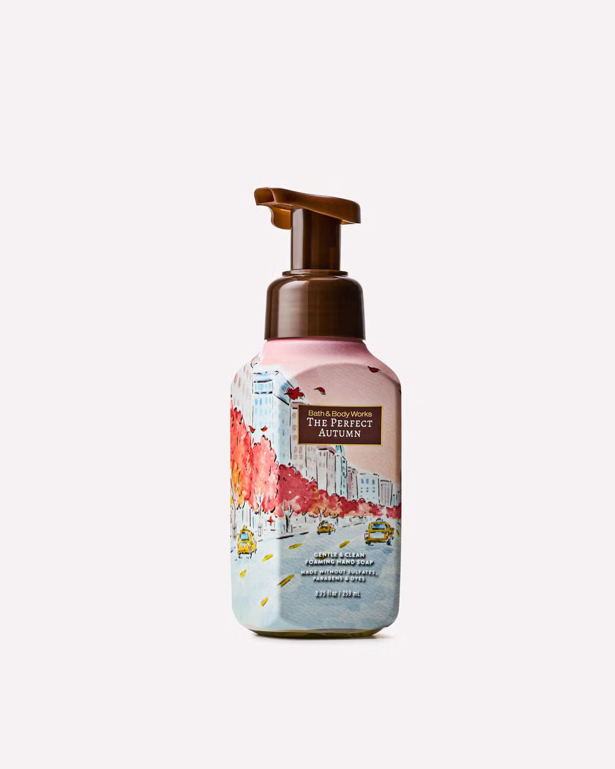 The Perfect Autumn Foaming Hand Soap