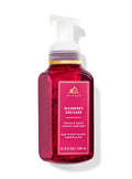 Wildberry Orchard Foaming Hand Soap